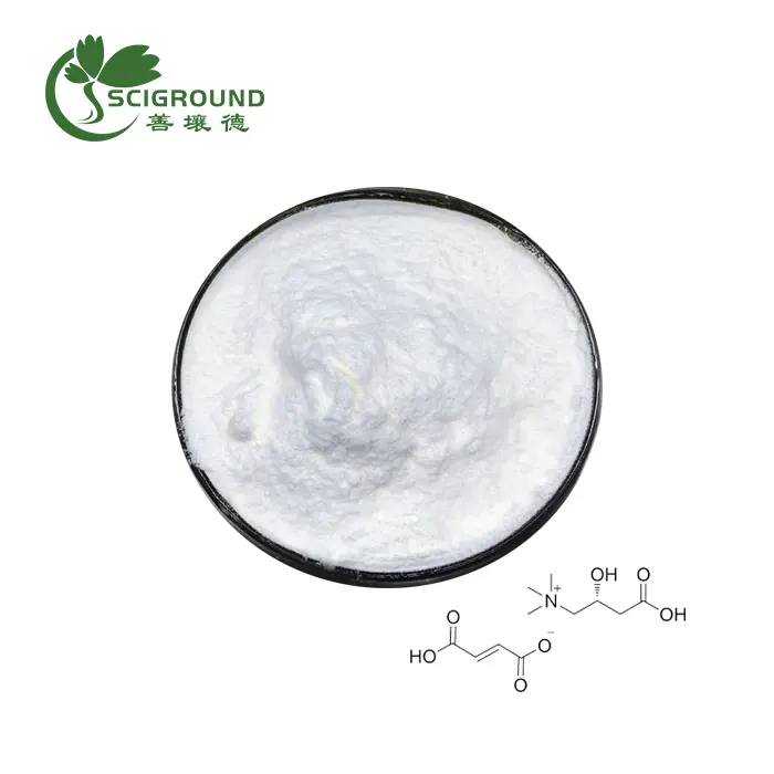 Bulk L carnitine Powder